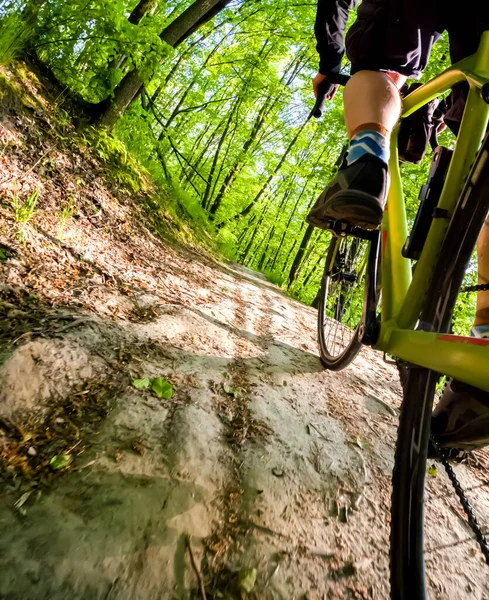 Radfahrer Auf Waldweg Unterwegs Blick Von Unten Auf Fahrrad — Stockfoto