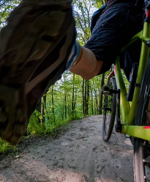 Їзда Велосипеді Лісовій Доріжці Вид Знизу Велосипеда — стокове фото