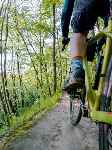 Cyklist Ridning Skogsstig Bottenvy Cykel — Stockfoto