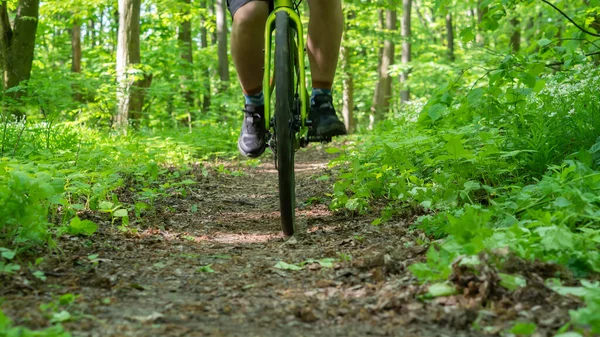 Ciclista Pedala Lungo Sentiero Forestale Nel Telaio Della Ruota Anteriore — Foto Stock