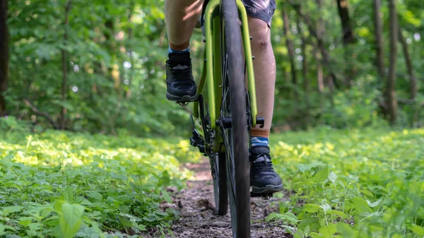 Ciclista Cavalga Longo Caminho Floresta Quadro Roda Dianteira Equilíbrio — Fotografia de Stock