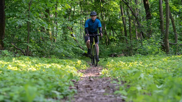 骑自行车的人走在森林里的一条小径上 前视镜 — 图库照片