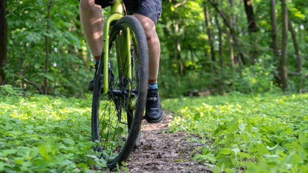 Der Radfahrer Fährt Rahmen Des Vorderrades Den Waldweg Entlang Und — Stockfoto