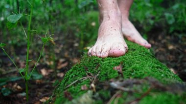 İnsan doğada çıplak ayakla, yosunla ve ağaç gövdesiyle yürür.