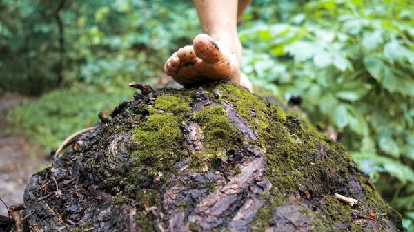 a man walks in nature with bare feet, tree trunks
