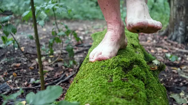 man walks in nature with bare feet, moss and tree trunk