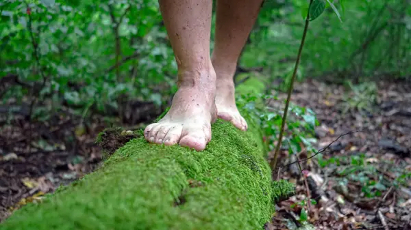 man walks in nature with bare feet, moss and tree trunk