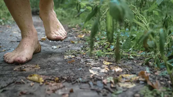 man walks in nature with bare feet, forest path and grass