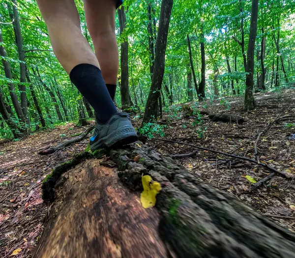 DCIM\100GOPRO\G0264876.JPG