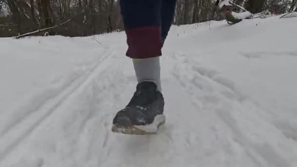 冬の未知の男性は雪の上の靴を走るためにジョギングします あらゆる種類の条件で実行する — ストック動画