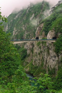 Yeşil orman dağları ile derin kanyon köprüsü