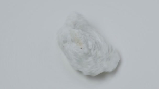 Makrostein Albit Mineralischen Weißen Hintergrund Nahaufnahme Aquamarin Auf Albite — Stockvideo