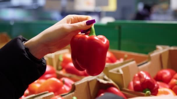 野菜の新鮮な赤ピーマンをスーパーで買う 消費主義 — ストック動画