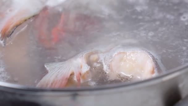 Cooking Fish Soup Fish Soup Trout Fish Boiling Water Close — Vídeos de Stock