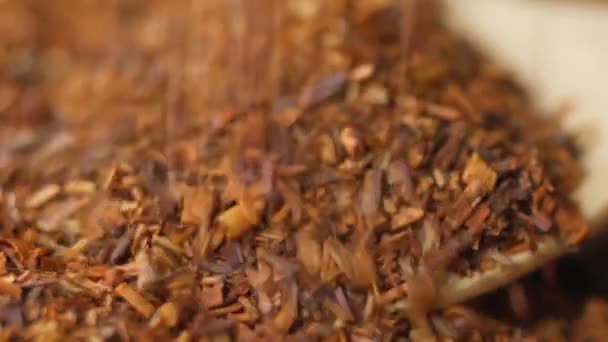 Bebida Rooibos Hecha Las Hojas Tallos Flores Una Planta Sudafricana — Vídeos de Stock