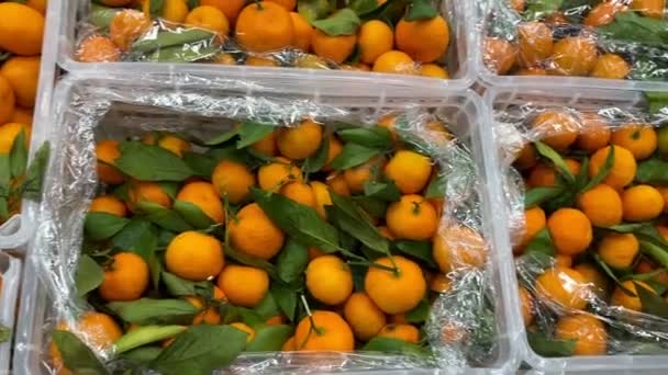 Mandarinas Frescas Primer Plano Tienda Para Venta Mostrador Enfoque Selectivo — Vídeos de Stock