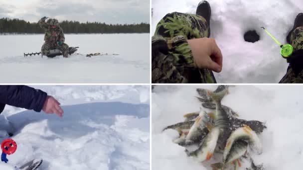 Ψαράδες Ψαριά Χειμερινό Κολάζ Ψαρέματος Αλιεύματα Τρόπαιο Έννοια Χειμερινή Αλιεία — Αρχείο Βίντεο