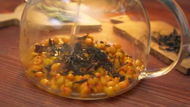 在玻璃杯茶壶中准备酿制的沙棘浆果 有选择的重点 慢动作 — 图库视频影像