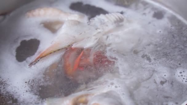 魚のスープを調理し 魚の頭を持つ魚のスープは鍋で沸騰している スローモーション — ストック動画
