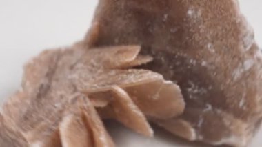 Desert rose. Rock composed of gypsum close up, crystals that resemble the shape of a rose, white background