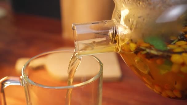 Sea Buckthorn Berries Prepared Brewing Glass Teapot Selective Focus — Stock Video