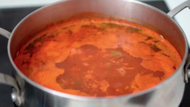 Vegetable Soup Cooked Kitchen Stove Red Pepper Soup Close — Wideo stockowe