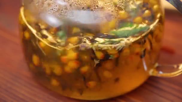 Przygotowanie Herbaty Rokitnika Jagód Owoców Morza Przygotowania Roślin Leczniczych Naparów — Wideo stockowe