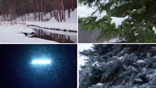 Skog Snö Snö Faller Träd Grenar Med Snö Vintern Collage — Stockvideo