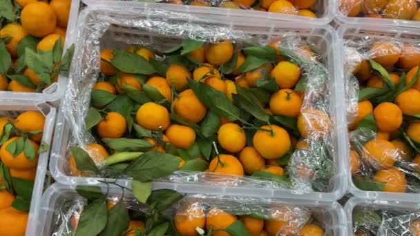 Mandarinas Maduras Mostrador Tienda Productos Agrícolas Ecológicos Saludables Enfoque Selectivo — Vídeos de Stock