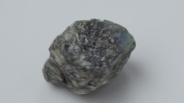 Raw Labradorite Natural Mineral Geological Collection White Background — Stock Video