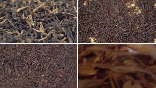 乾燥茶のコラージュの品揃え 異なる種類のお茶とお茶の組成 茶の概念 — ストック動画