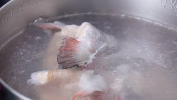Cocinar Sopa Pescado Caldo Sopa Pescado Con Una Cabeza Pescado — Vídeos de Stock