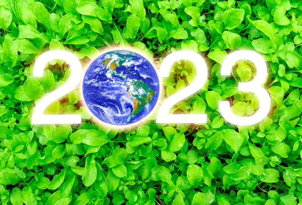 stock image Earth on the background of spinach leaves has a green texture, the environment. Earth Day Concept. Elements of this image are furnished by NASA