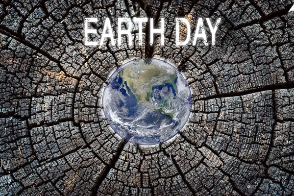 Earth Background Dark Old Tree Texture Environment Earth Day Concept — Stock Photo, Image