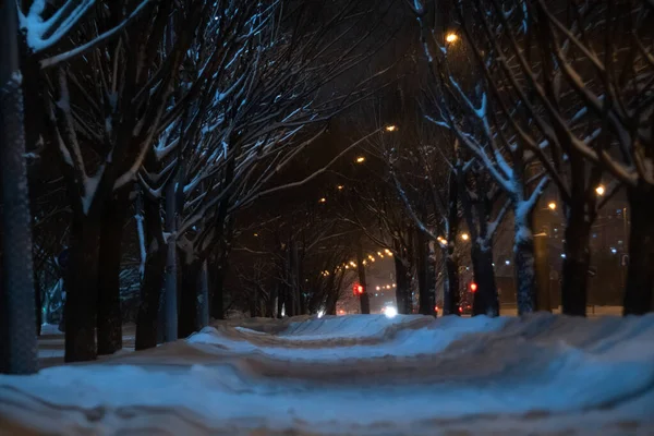 Paisaje Nocturno Invierno Árboles Nevados Cubiertos Nieve Luces Brillantes Durante —  Fotos de Stock