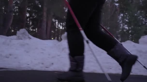 Pies Caminando Sobre Nieve Con Bastones Nórdicos Movimiento Piernas Caminando — Vídeo de stock