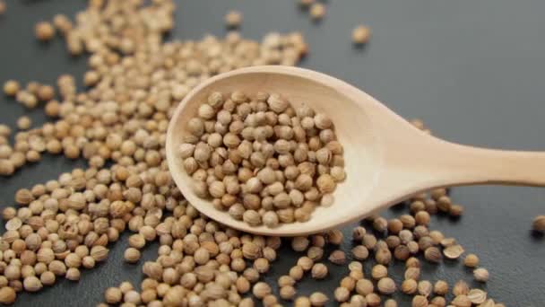 Close Dried Coriander Seed Aromatic Spice Ingredients Asia Food Slow — Stock Video