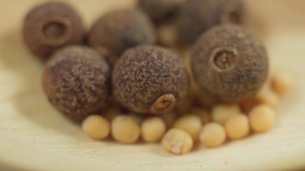 印度香料 干芥末籽 靠近点有选择的重点 慢动作 — 图库视频影像