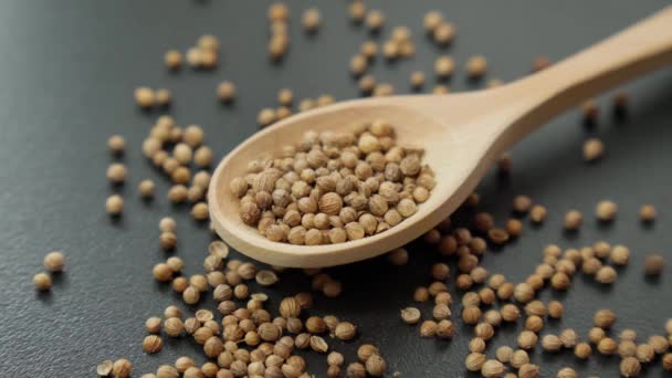 Coriander Seeds Close Chinese Parsley Dhania Cilantro Used Aromatic Flavorful — Stock Video