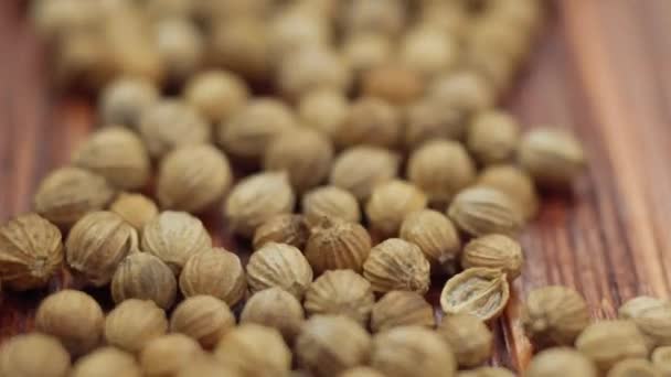 Coriander Seeds Close Macro Products Health Products Based Coriander Seeds — Stock Video