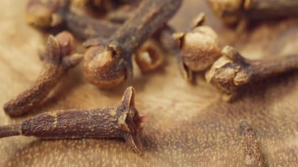 Carnation Spice Close Macro Spices Herbs — Stock Video