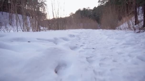 游客沿着冬日的道路走着 从稳定器中射击 — 图库视频影像