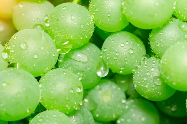 Saftiga Gröna Druvor Närbild Makro Med Droppar Vatten Bakgrund Struktur — Stockfoto