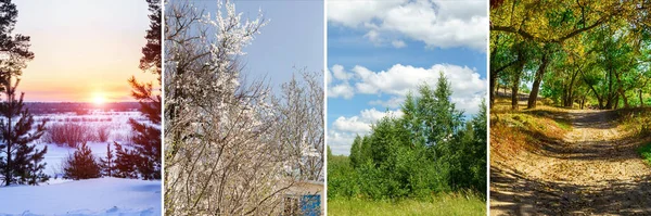 Τέσσερις Εποχές Άνοιξη Καλοκαίρι Φθινόπωρο Και Χειμώνα Φυσικό Κολάζ Εποχιακά — Φωτογραφία Αρχείου