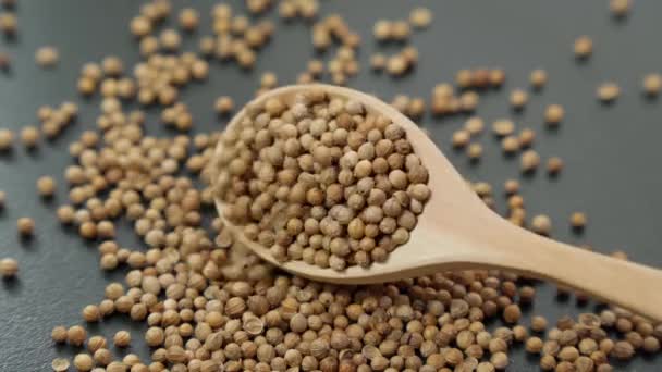 Закрыть Сушеные Семена Кориандра Ароматические Специи Ингредиенты Азиатской Пищи — стоковое видео
