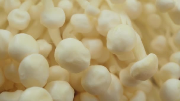 Enoki Gomba Közeli Makró Golden Tűgomba Használt Élelmiszer Saláták — Stock videók