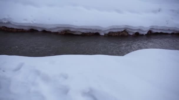 Mały Strumyk Zimowym Lesie Spacerujący Sezon Zimowy — Wideo stockowe