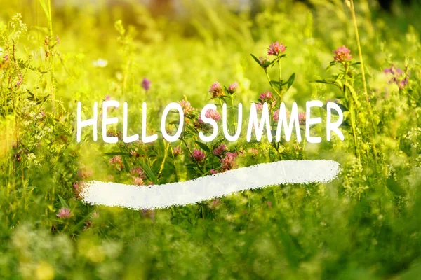 Зелена Трава Фону Сонячні Промені Привіт Літній Текст Літній Сезон — стокове фото