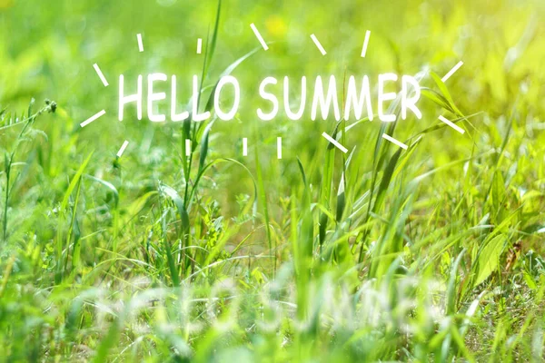 Hello Summer Text Sunny Day Soft Focus Bokeh Blur Natural — Stock Photo, Image
