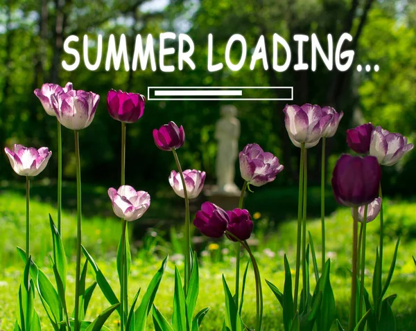 夏のロードは花の美しいフィールドです 夏のコンセプト 選択的フォーカス — ストック写真